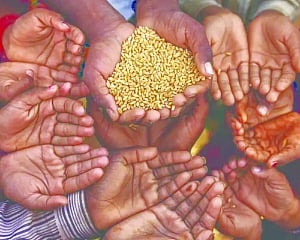 Food Ministry-FCI pact sets target for procurement