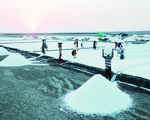 How Climate Change Threatens Gujarat’s Agariyas