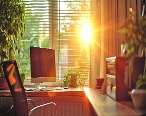 Importance of Natural Light