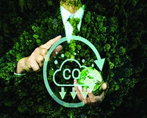 India’s Biofuel Boom Faces a Carbon Accounting Crossroads
