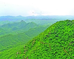 India’s green wall: A bold push to halt desertification