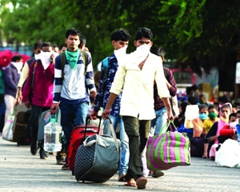 India’s unemployment rate lowest among G20 nations: Mandaviya