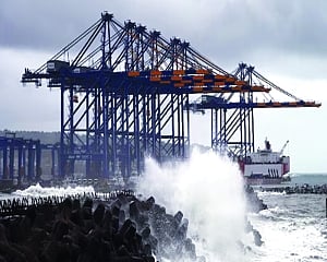 Inside trade zoo: A lion, elephant, dragon and others