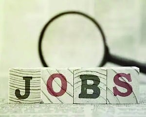 Job postings in India rebounds 8.9 per cent in May