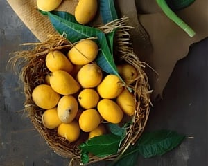Mango takes the cake: How king of fruits continues to reign over hearts and palates