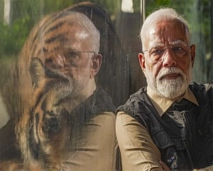 PM Modi hails India adding 58th tiger reserve to its tally