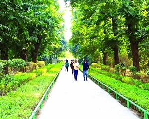 Pure air is basic human right, equals right to life