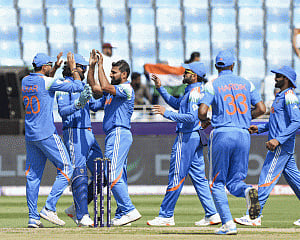 Shami's love affair with ICC events: It's all about loyalty, attention to detail