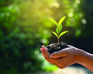 Sustainability education for green jobs