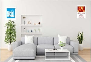 Top Wall Putty Products for Budget-Friendly Home Renovation