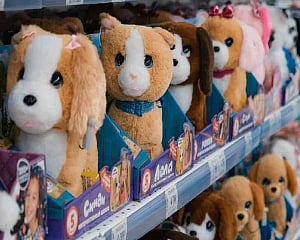 US tariffs on Chinese imports: Indian toy makers keen to leverage 'golden opportunity'