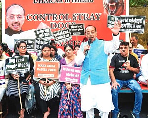 Vijay Goel leads protest against stray dog menace