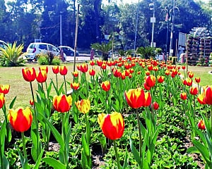 Welcoming the Spring with Open Arms