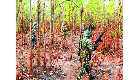 7 Naxals held in Jharkhand