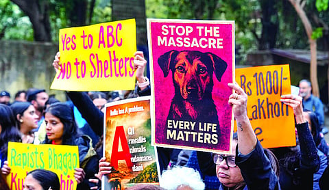Activists protest over SC’s order on street dogs