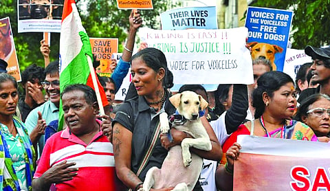Animal rights groups' protest on June 13 against SC order