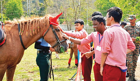 Ashwa Sparsh — healing through horses