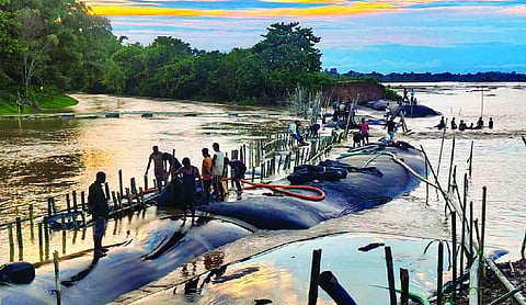 Assam needs over Rs 1,000 crore for flood relief: Himanta