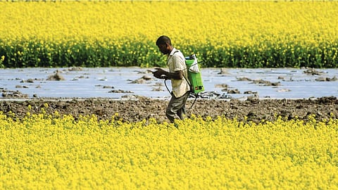 Budget has nothing for farmers: Punjab Government