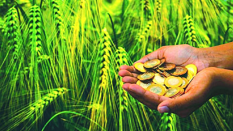 Budgeting rural prosperity