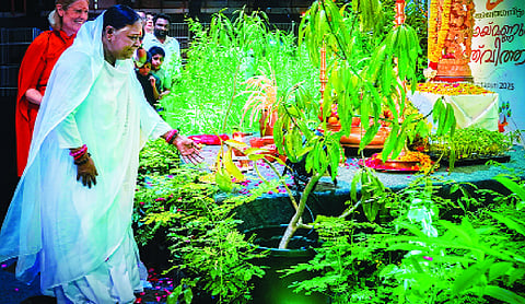 Carefully tend the garden of your mind