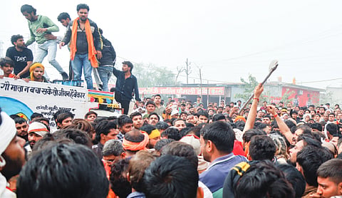 Cow vigilante run over by truck, protests in Mathura