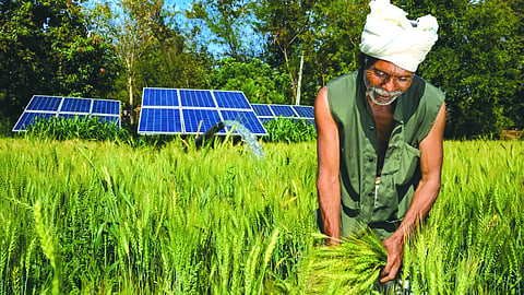 Crops may fail, solar will not: Climate-resilient agriculture for a new India