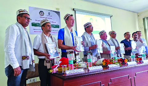 CSKHPKV study highlights climate-smart rice farming