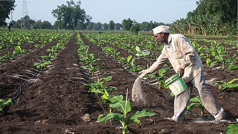Cultivating a greener future
