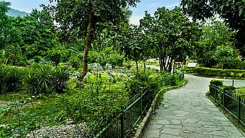 Delhi cannot afford to lose the ridge