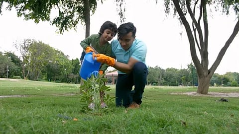 Delhi embraces urban farming for a greener future