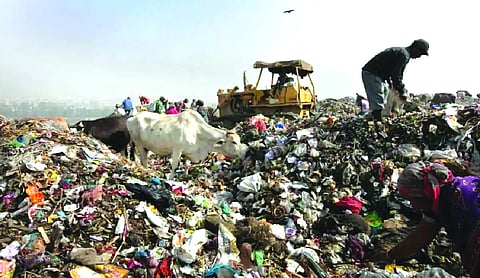 Delhi faces 4,200 tonne daily waste-processing gap