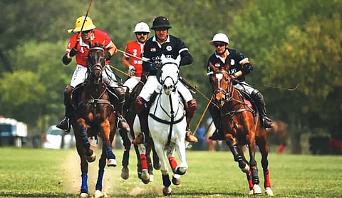 Delhi HC stays eviction of Race Club, Polo ground; directs Centre to follow due process
