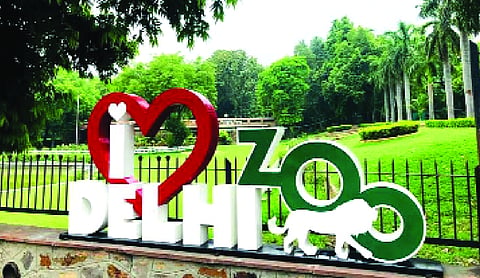 Delhi zoo plans modern reptile house
