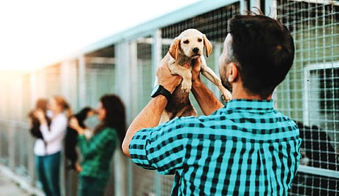 Delhi Zoo to offer one-day animal adoption from March