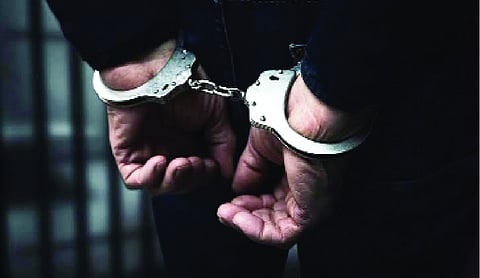 DRI nets 740 kg cannabis in eight pan-India raids, 13 held
