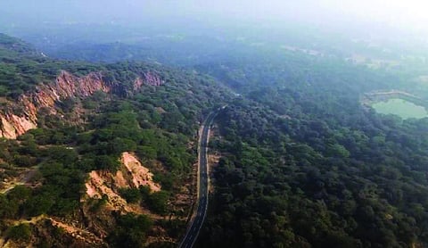 Experts flag concerns over SC-appointed Aravalli panel