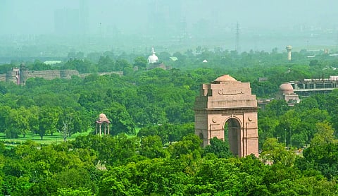 Fighting air pollution with urban greening