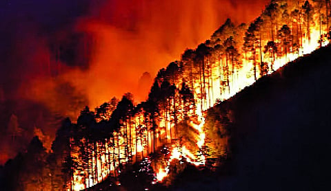 Forest fires in India: A growing ecological and governance challenge