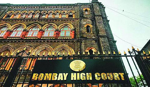Goa voters left out of SIR in catch-22, says Bombay HC