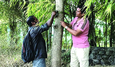 Haldwani forest division uses AI to monitor birds