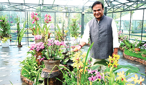 Himanta inaugurates Kaziranga Orchid Park having 900 indigenous species
