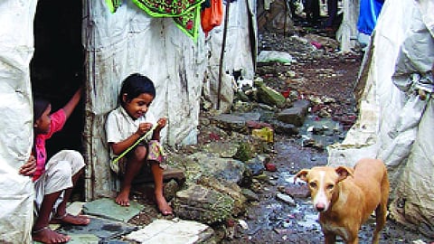 How lead exposure may cost India its demographic potential advantage