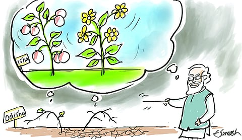 How Modi changed Odisha’s growth story