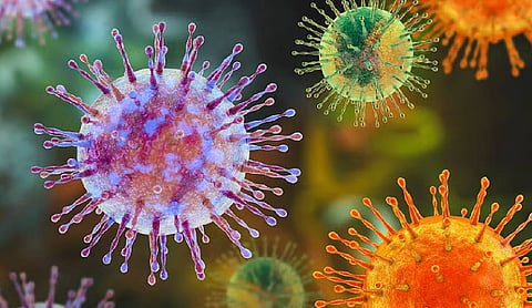 ICMR says Hantavirus cases isolated, no immediate health threat to India