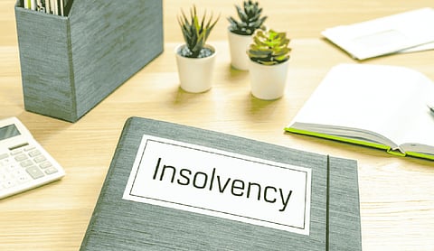 IIIPI organises workshop on cross-border insolvency
