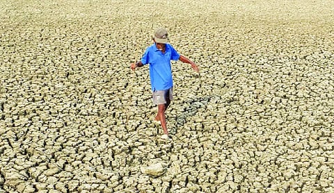 India’s climate defence begins at the doorstep