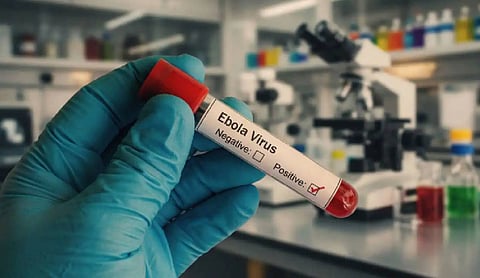 India, African Union Postpone New Delhi Summit Amid Ebola Outbreak