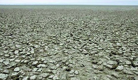 India restored 21.7 million hectares of degraded land: Govt