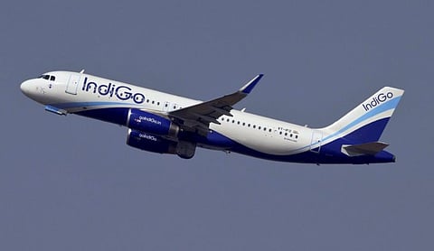 IndiGo. PTI photo.